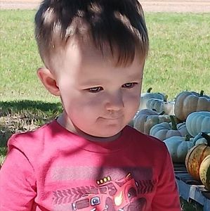 Meet your Posher, Joy